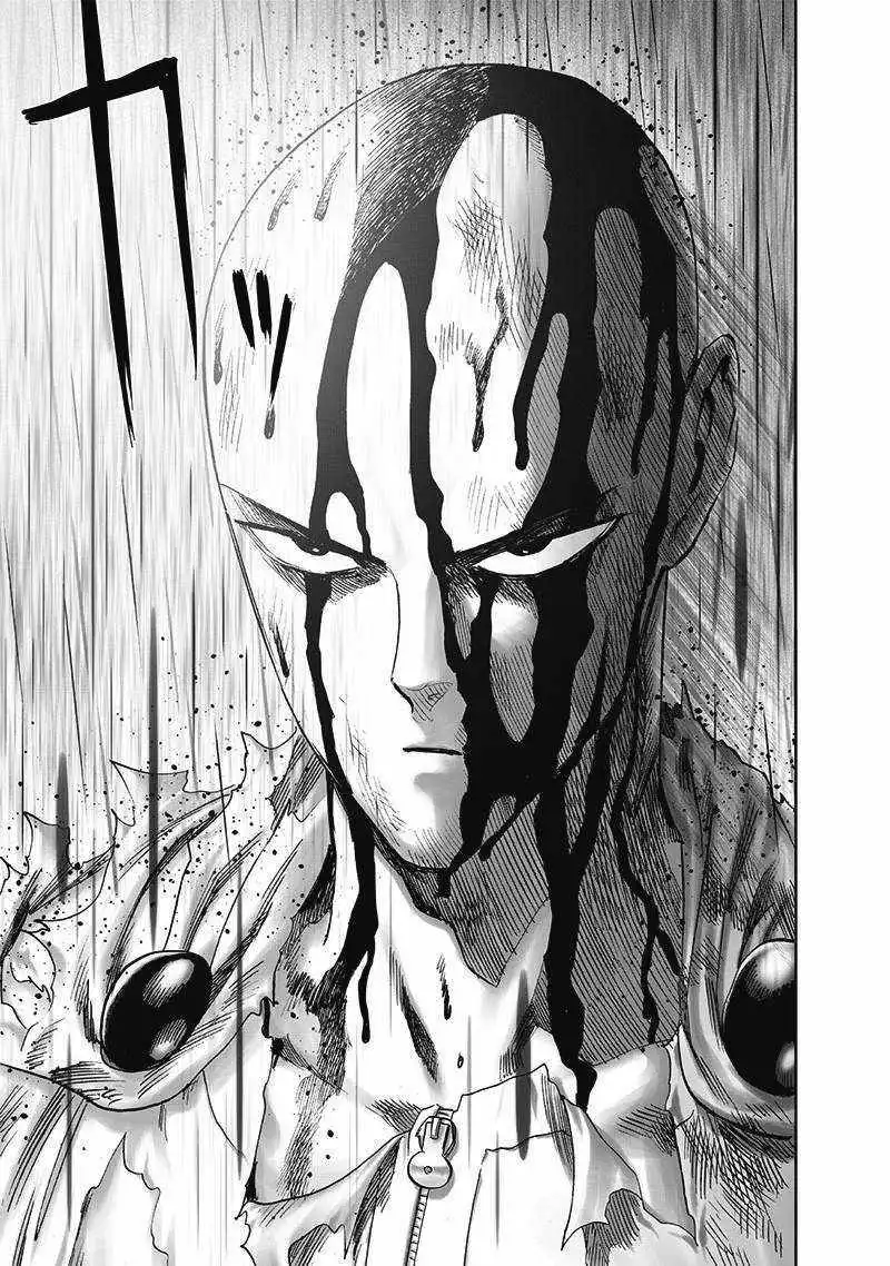 One-Punch Man Chapter 166 39